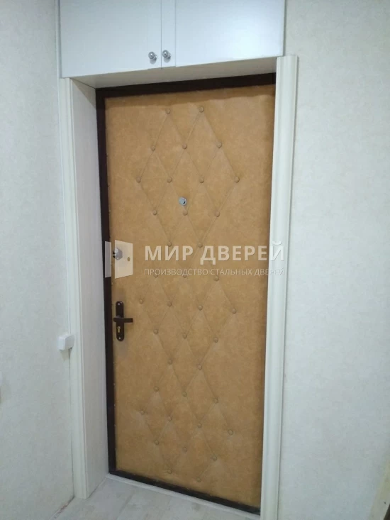 Фото двери № 302