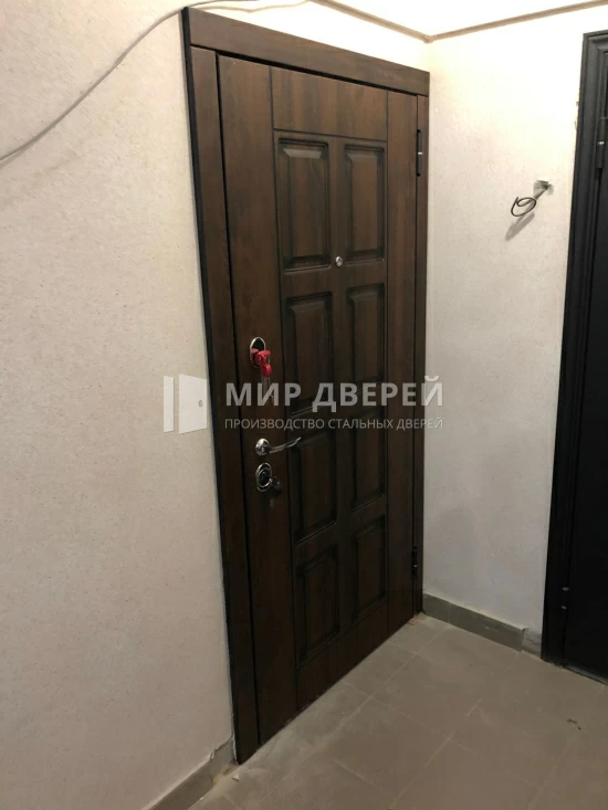 Фото двери № 445