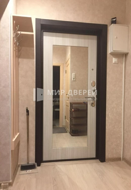 Дверь в новостройку - фото